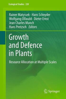 Matyssek / Schnyder / Pretzsch | Growth and Defence in Plants | Buch | 978-3-642-30644-0 | sack.de