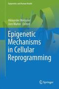 Walter / Meissner |  Epigenetic Mechanisms in Cellular Reprogramming | Buch |  Sack Fachmedien
