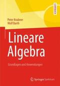 Knabner / Barth |  Lineare Algebra | Buch |  Sack Fachmedien