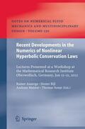 Ansorge / Sonar / Bijl |  Recent Developments in the Numerics of Nonlinear Hyperbolic Conservation Laws | Buch |  Sack Fachmedien
