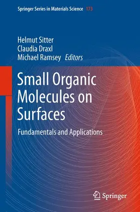 Sitter / Ramsey / Draxl |  Small Organic Molecules on Surfaces | Buch |  Sack Fachmedien