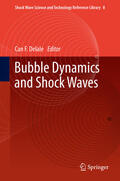 Delale |  Bubble Dynamics and Shock Waves | eBook | Sack Fachmedien