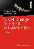 Westheide / Rieger |  Spezielle Zoologie. Teil 1: Einzeller und Wirbellose Tiere | Buch |  Sack Fachmedien