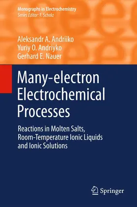 Andriiko / Andriyko / Nauer | Many-electron Electrochemical Processes | E-Book | www.sack.de