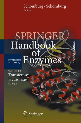 Schomburg / Chang |  Class 2–3.2 Transferases, Hydrolases | eBook | Sack Fachmedien
