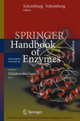 Schomburg / Chang |  Class 1 Oxidoreductases | eBook | Sack Fachmedien