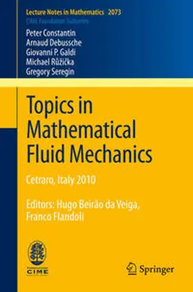 Constantin / Debussche / Galdi | Topics in Mathematical Fluid Mechanics | E-Book | sack.de