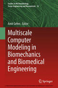 Gefen |  Multiscale Computer Modeling in Biomechanics and Biomedical Engineering | eBook | Sack Fachmedien