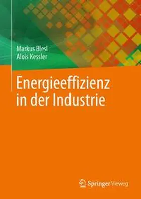 Blesl / Kessler |  Energieeffizienz in der Industrie | Buch |  Sack Fachmedien