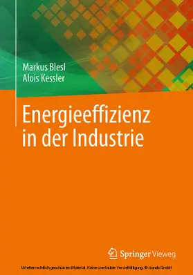 Blesl / Kessler |  Energieeffizienz in der Industrie | eBook | Sack Fachmedien