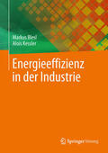Blesl / Kessler |  Energieeffizienz in der Industrie | eBook | Sack Fachmedien