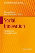 Schmidpeter / Osburg |  Social Innovation | Buch |  Sack Fachmedien