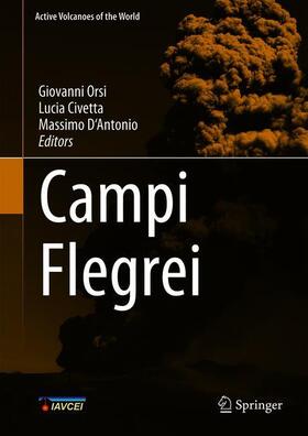 Orsi / Civetta / D'Antonio | Campi Flegrei | Buch | 978-3-642-37059-5 | sack.de