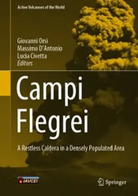 Orsi / D'Antonio / Civetta | Campi Flegrei | E-Book | www.sack.de