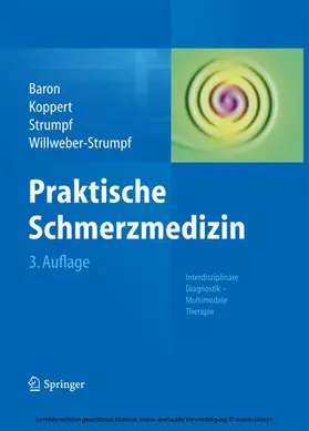 Baron / Koppert / Strumpf |  Praktische Schmerzmedizin | eBook | Sack Fachmedien