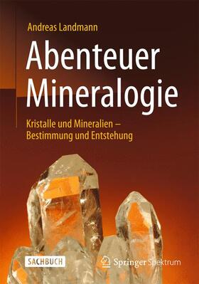 Landmann | Abenteuer Mineralogie | Buch | 978-3-642-37742-6 | sack.de