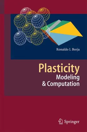 Borja |  Plasticity | Buch |  Sack Fachmedien