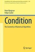 Cucker / Bürgisser |  Condition | Buch |  Sack Fachmedien