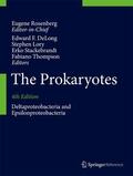 DeLong / Lory / Stackebrandt |  The Prokaryotes | Buch |  Sack Fachmedien