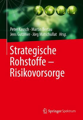 Kausch / Bertau / Gutzmer | Strategische Rohstoffe - Risikovorsorge | Buch | 978-3-642-39703-5 | sack.de
