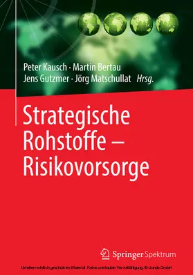 Kausch / Bertau / Gutzmer | Strategische Rohstoffe — Risikovorsorge | E-Book | sack.de
