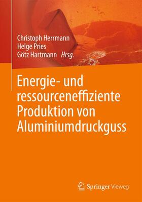 Herrmann / Hartmann / Pries | Energie- und ressourceneffiziente Produktion von Aluminiumdruckguss | Buch | 978-3-642-39852-0 | sack.de