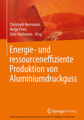 Herrmann / Pries / Hartmann | Energie- und ressourceneffiziente Produktion von Aluminiumdruckguss | E-Book | sack.de