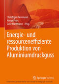 Herrmann / Pries / Hartmann |  Energie- und ressourceneffiziente Produktion von Aluminiumdruckguss | eBook | Sack Fachmedien
