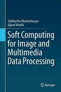 Maulik / Bhattacharyya |  Soft Computing for Image and Multimedia Data Processing | Buch |  Sack Fachmedien