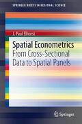 Elhorst |  Spatial Econometrics | Buch |  Sack Fachmedien