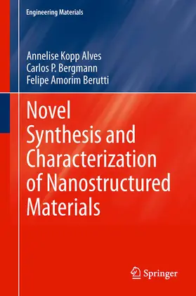 Kopp Alves / Alves / Bergmann |  Novel Synthesis and Characterization of Nanostructured Materials | eBook | Sack Fachmedien