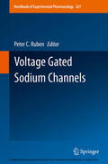 Ruben |  Voltage Gated Sodium Channels | eBook | Sack Fachmedien