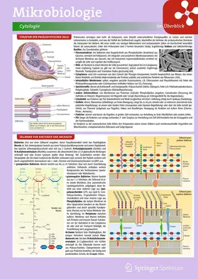  Lerntafel: Mikrobiologie im Überblick | Sonstiges |  Sack Fachmedien