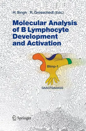Singh / Grosschedl |  Molecular Analysis of B Lymphocyte Development and Activation | Buch |  Sack Fachmedien