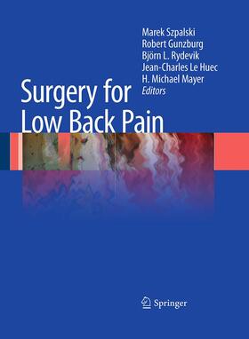 Szpalski / Gunzburg / Mayer | Surgery for Low Back Pain | Buch | 978-3-642-42321-5 | sack.de