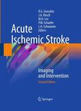 González / Hirsch / Schwamm |  Acute Ischemic Stroke | Buch |  Sack Fachmedien