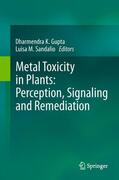 Sandalio / Gupta |  Metal Toxicity in Plants: Perception, Signaling and Remediation | Buch |  Sack Fachmedien