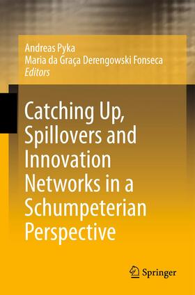 Derengowski Fonseca / Pyka |  Catching Up, Spillovers and Innovation Networks in a Schumpeterian Perspective | Buch |  Sack Fachmedien