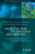 Brun / Galli Carminati / Carminati |  From the Web to the Grid and Beyond | Buch |  Sack Fachmedien