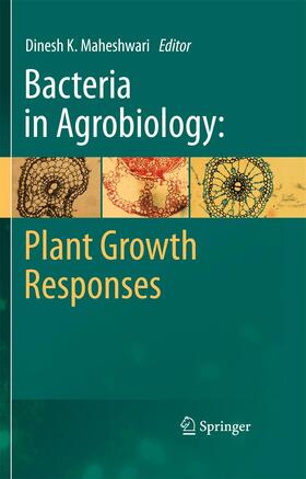 Maheshwari | Bacteria in Agrobiology: Plant Growth Responses | Buch | 978-3-642-43954-4 | sack.de
