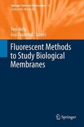 Duportail / Mely |  Fluorescent Methods to Study Biological Membranes | Buch |  Sack Fachmedien