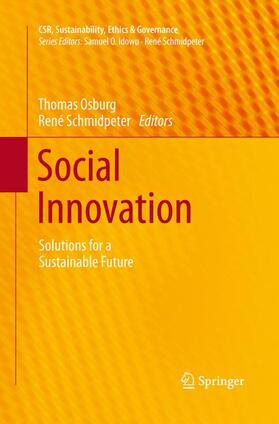 Schmidpeter / Osburg | Social Innovation | Buch | 978-3-642-44377-0 | sack.de