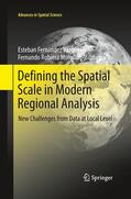 Rubiera Morollón / Fernández Vázquez |  Defining the Spatial Scale in Modern Regional Analysis | Buch |  Sack Fachmedien