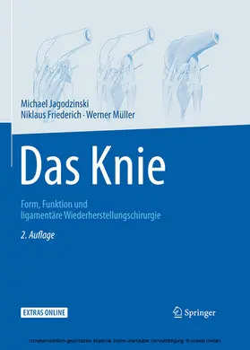 Jagodzinski / Friederich / Müller |  Das Knie | eBook | Sack Fachmedien