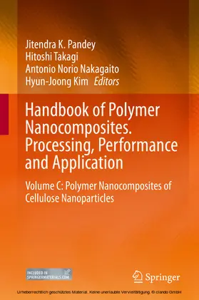 Pandey / Takagi / Nakagaito | Handbook of Polymer Nanocomposites. Processing, Performance and Application | E-Book | www.sack.de