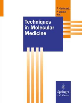 Igarashi / Hildebrandt |  Techniques in Molecular Medicine | Buch |  Sack Fachmedien