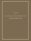 Hoffmann |  Atlas der Ätiologischen und Experimentellen Syphilisforschung | Buch |  Sack Fachmedien