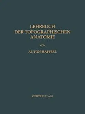 Hafferl |  Lehrbuch der topographischen Anatomie | Buch |  Sack Fachmedien