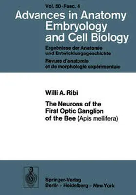 Ribi |  The Neurons of the First Optic Ganglion of the Bee (Apis mellifera) | eBook | Sack Fachmedien