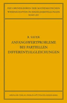Sauer |  Anfangswertprobleme bei Partiellen Differentialgleichungen | eBook | Sack Fachmedien